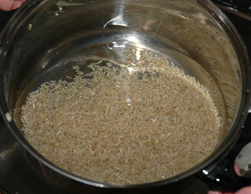 Brown Rice  The Cooking Geek