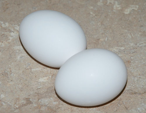 2 white eggs